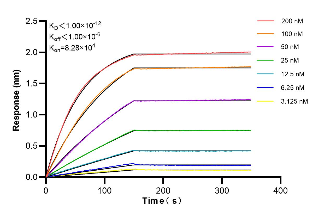 Affinity of 87386-1-RR