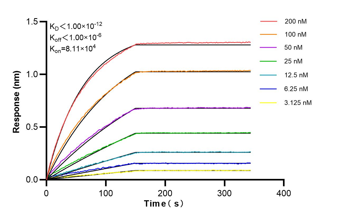 Affinity of 87391-2-RR