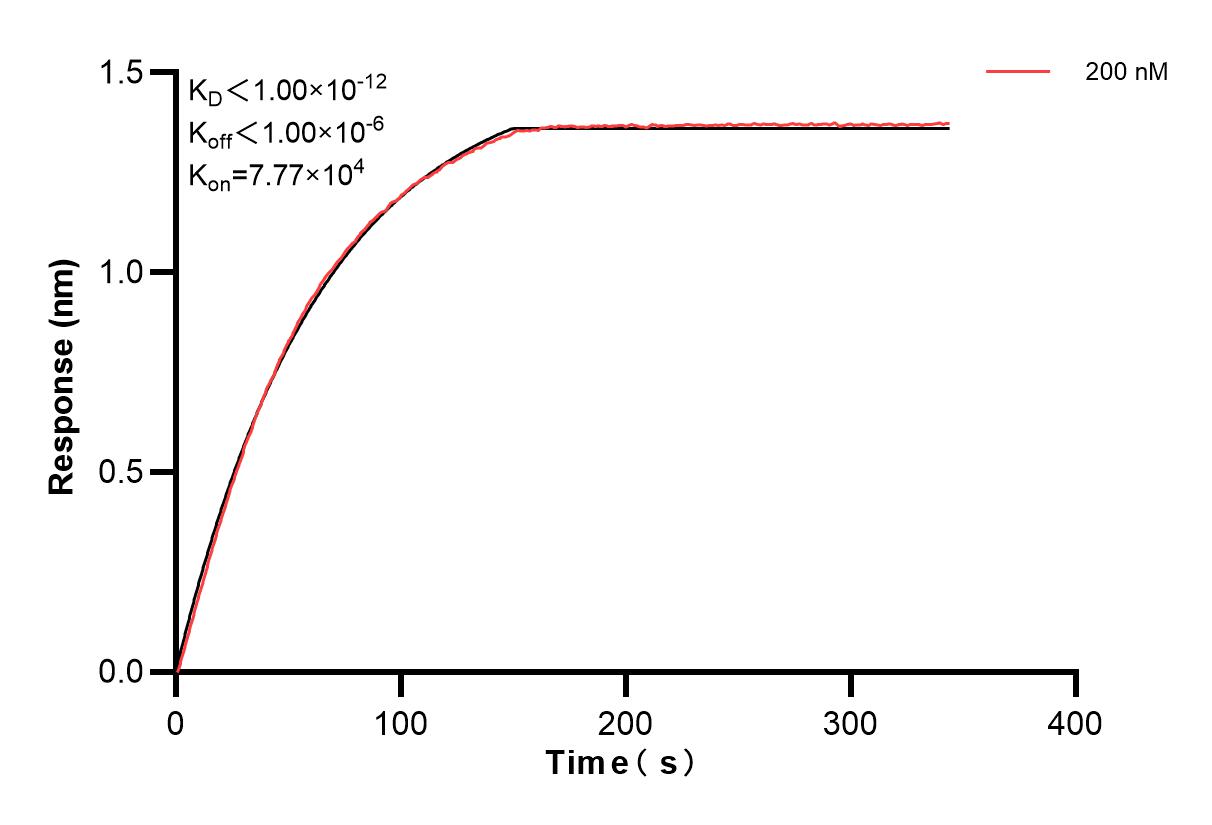 Affinity of 87393-3-PBS