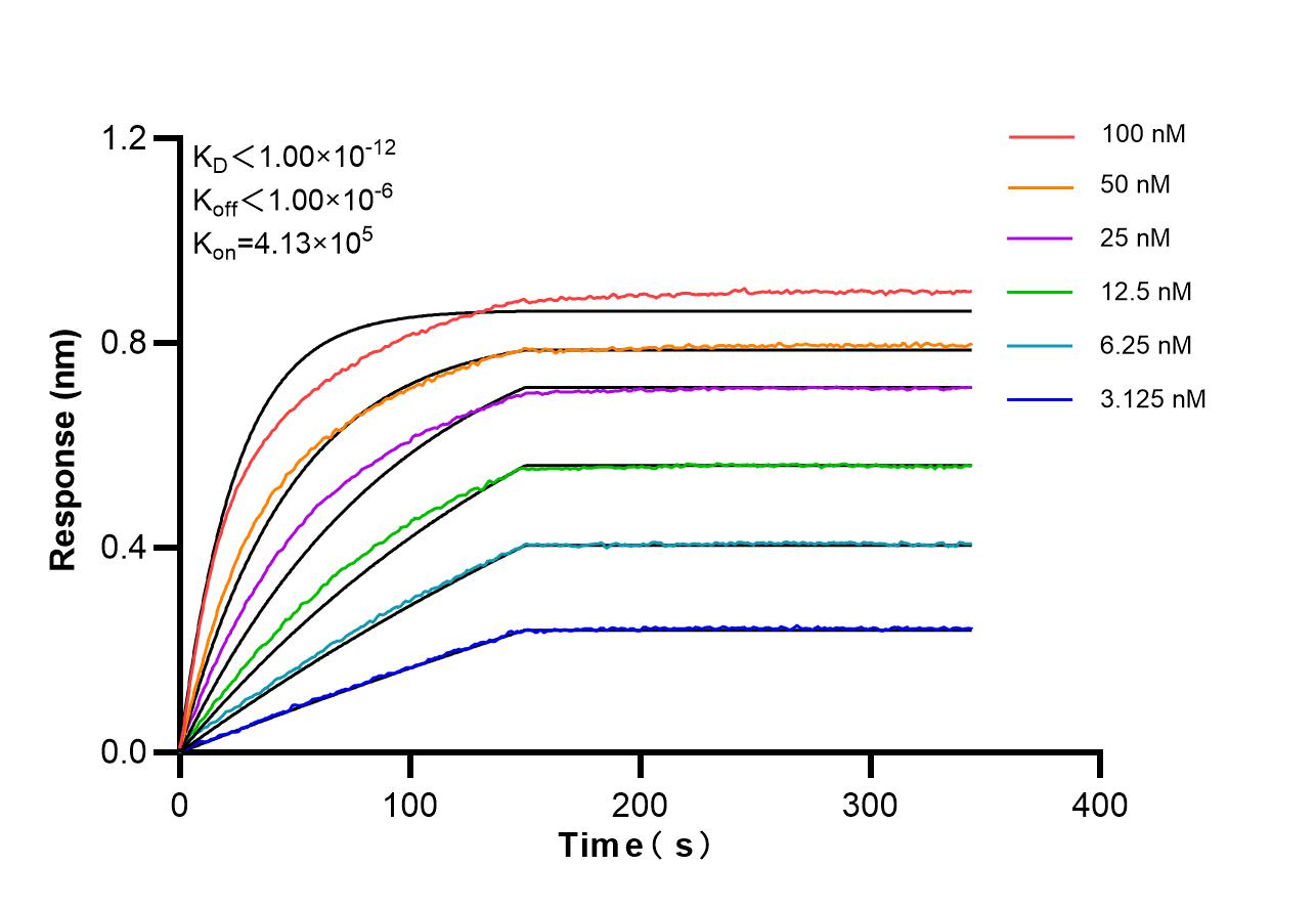 Affinity of 87406-1-RR