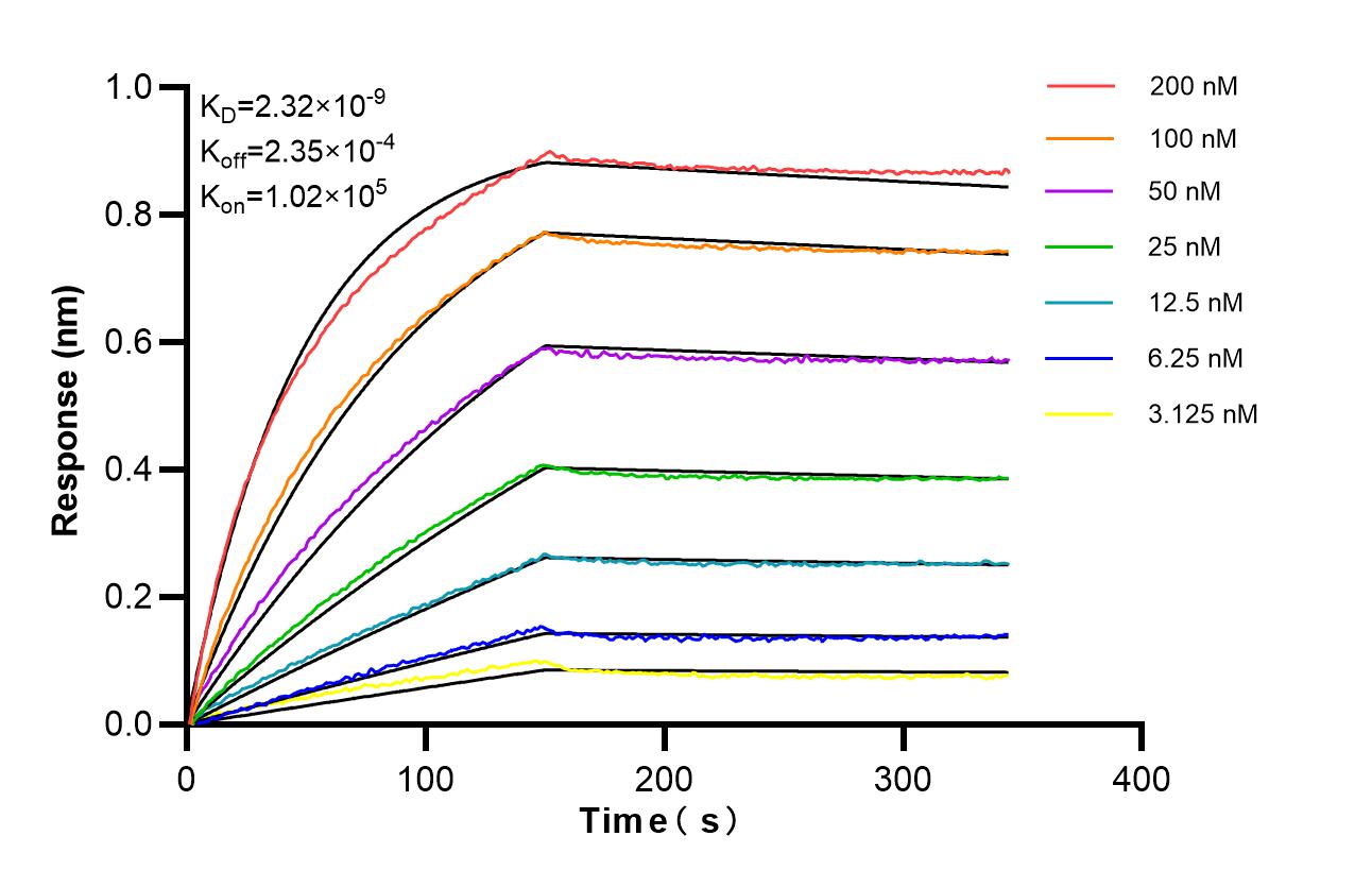 Affinity of 87426-1-RR