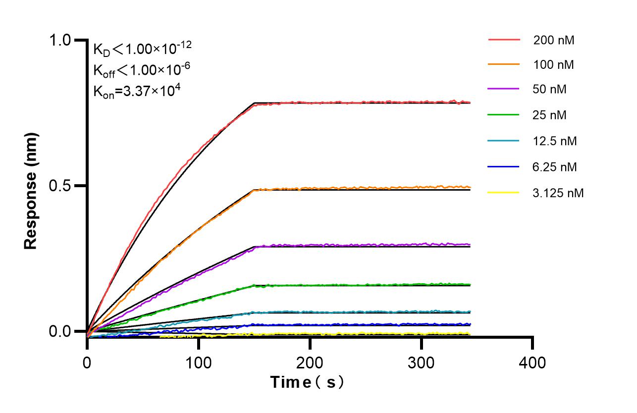 Affinity of 87427-1-RR