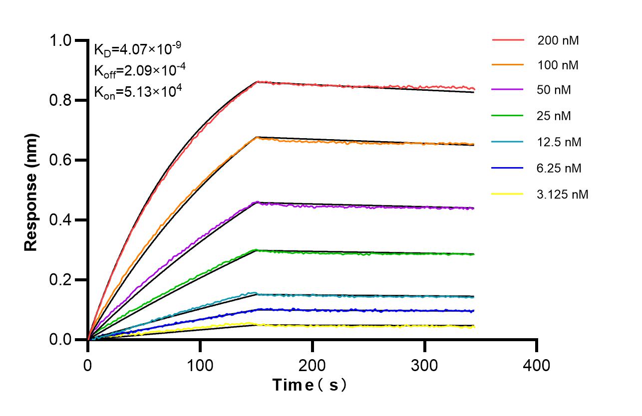 Biolayer interferometry (BLl) kinetic assays of 87438-1-RR against Human SRp20 were performed. The affinity constant is 4.07 nM. Affinity of 87438-1-RR