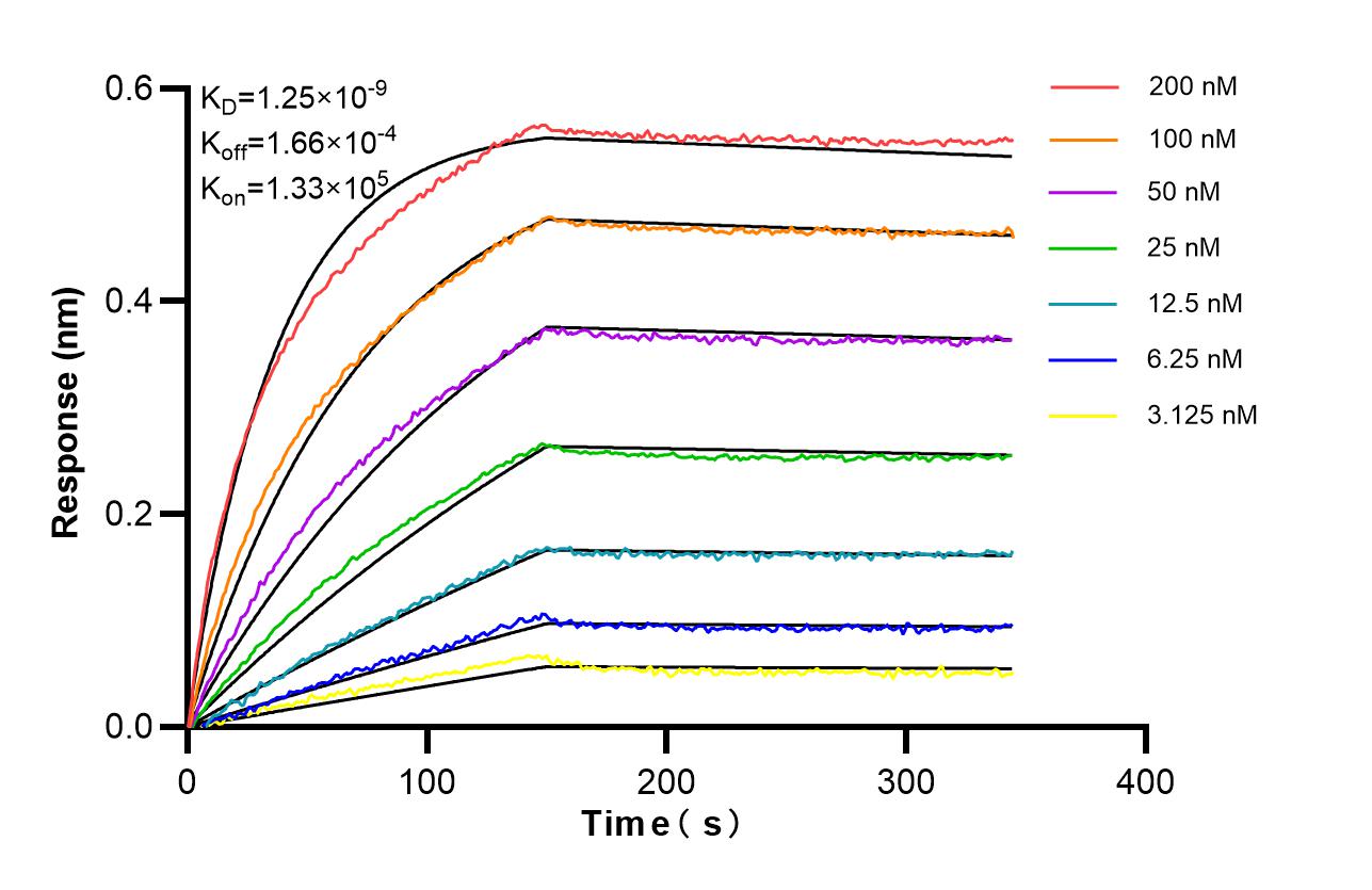 Affinity of 87457-2-RR Affinity of 87457-2-RR