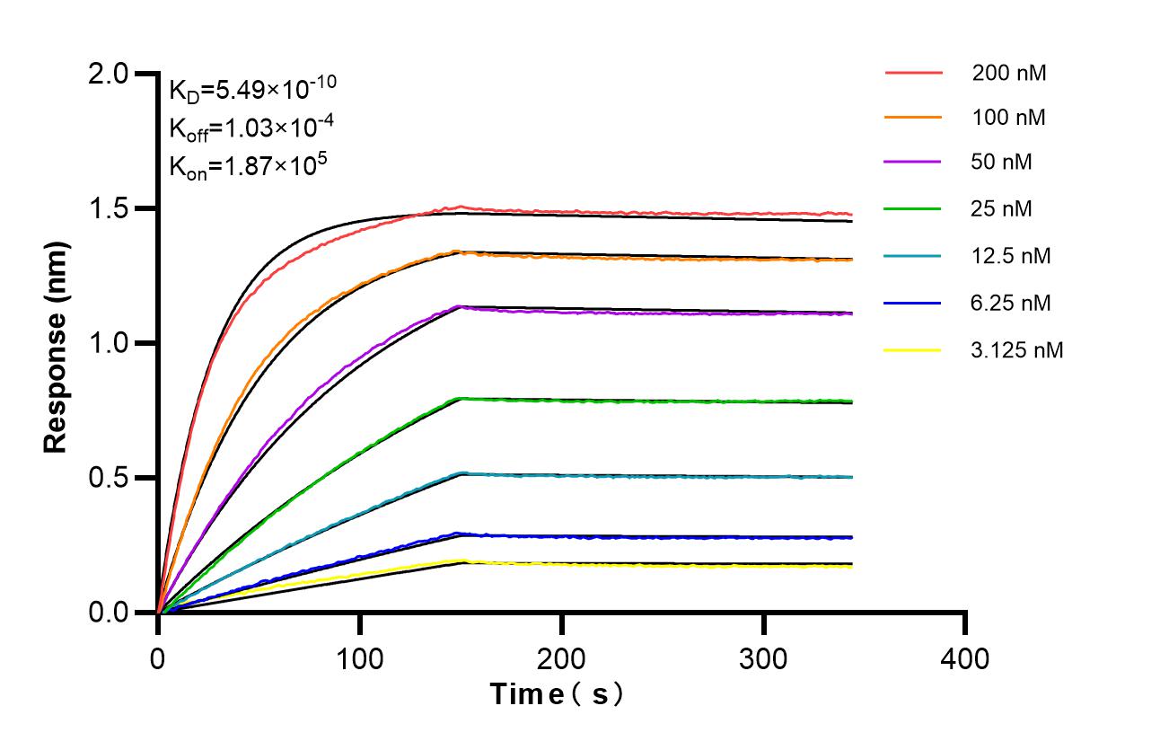 Affinity of 87458-1-RR