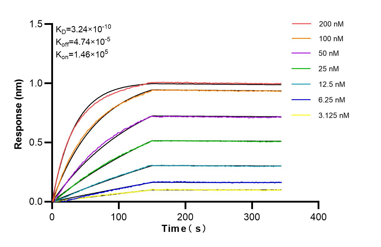 Affinity of 87464-1-RR