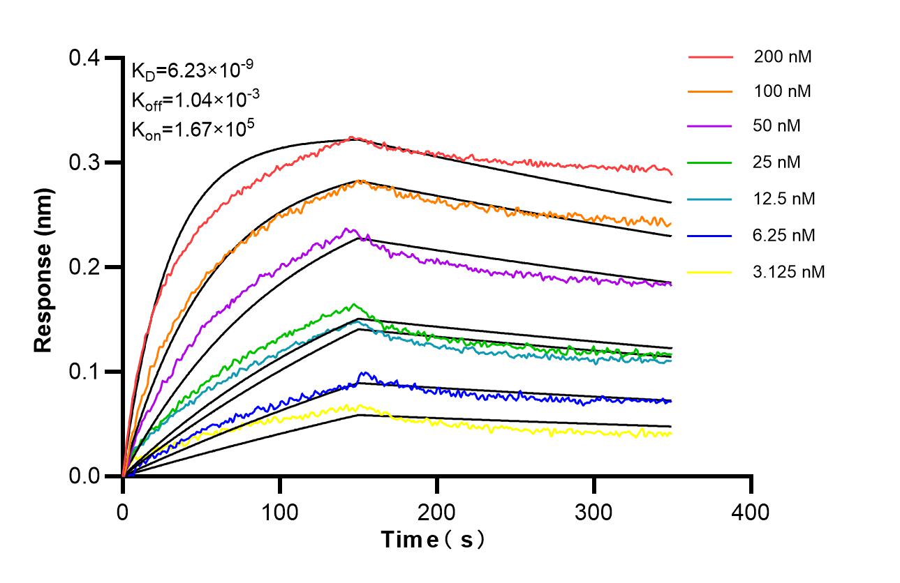 Affinity of 87467-3-RR