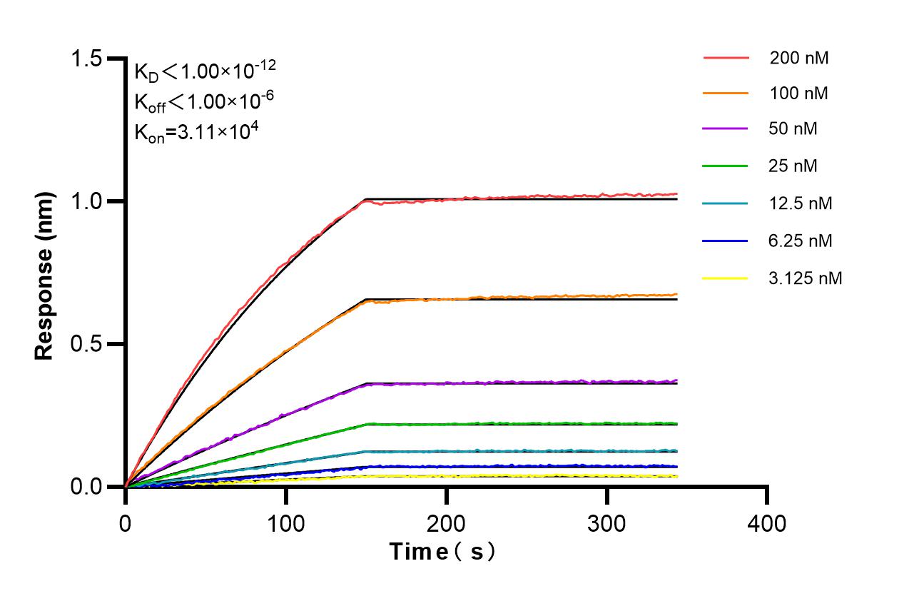 Affinity of 87483-1-RR Affinity of 87483-1-RR