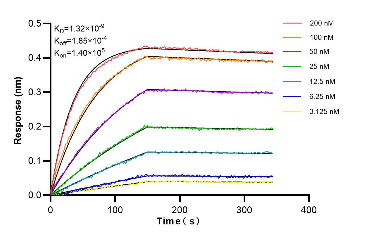 Affinity of 87495-1-RR
