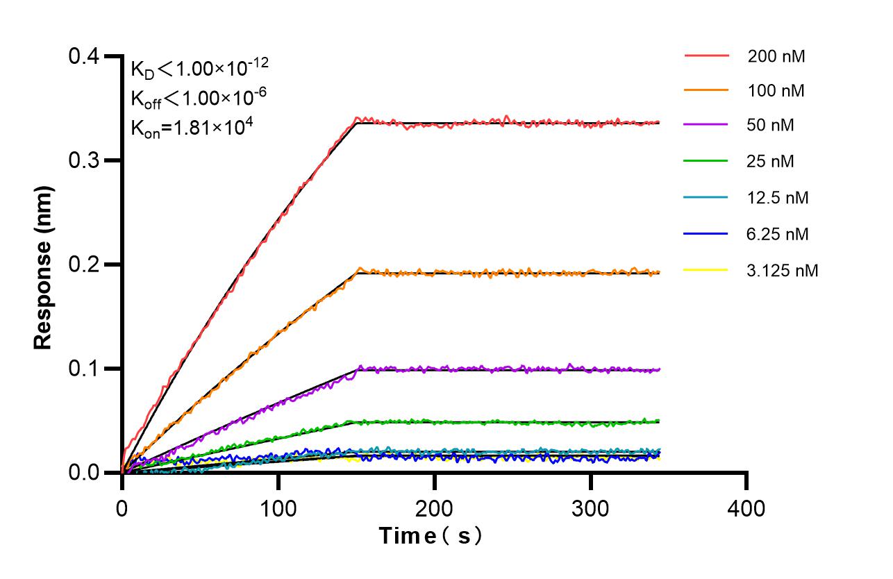 Affinity of 87498-1-RR Affinity of 87498-1-RR