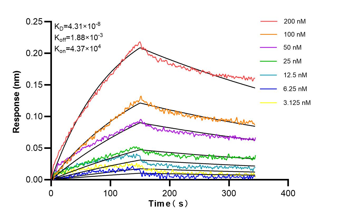 Biolayer interferometry (BLl) kinetic assays of 87510-1-RR against Human IL-17F were performed. The affinity constant is 43.1 nM. Affinity of 87510-1-RR