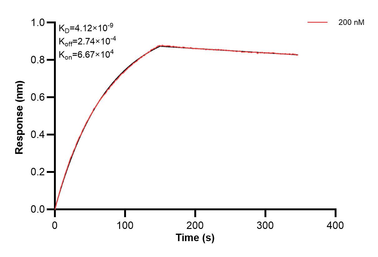 Affinity of 87517-3-PBS