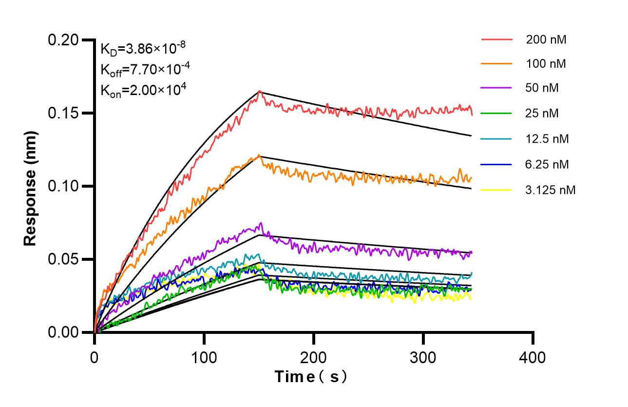 Affinity of 87532-1-RR