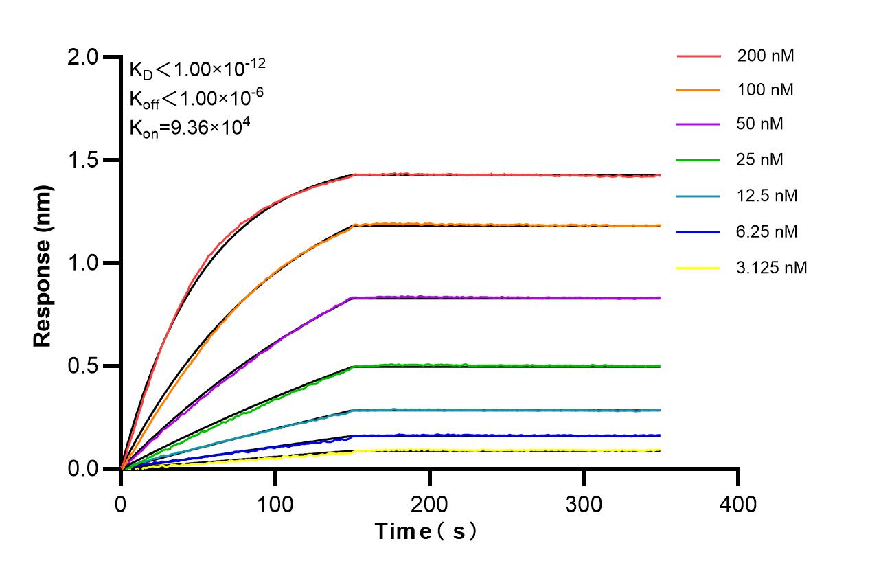 Affinity of 87535-4-RR