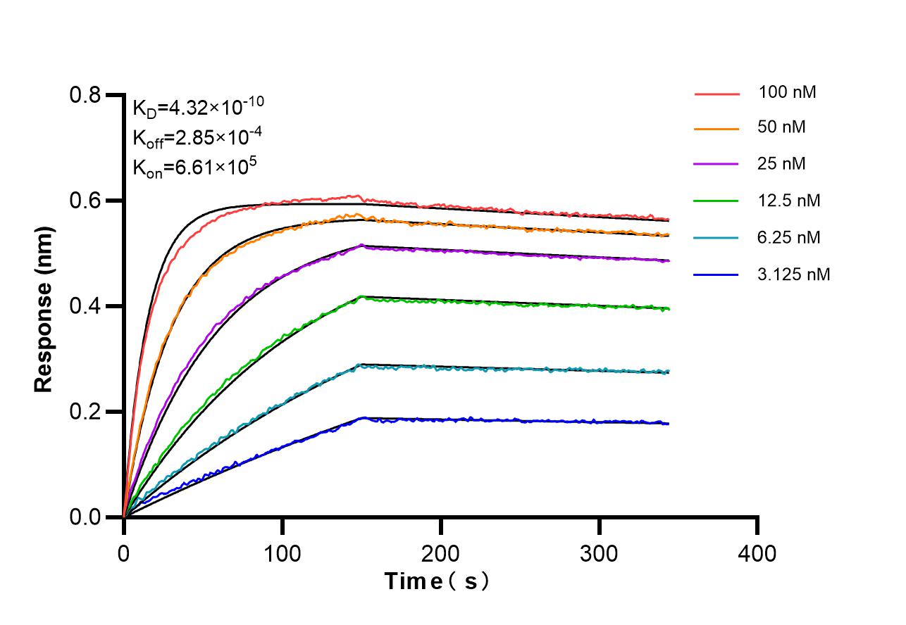 Affinity of 87545-1-RR