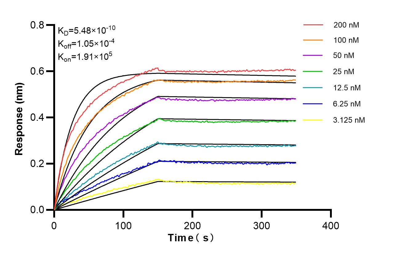 Affinity of 87582-2-RR Affinity of 87582-2-RR