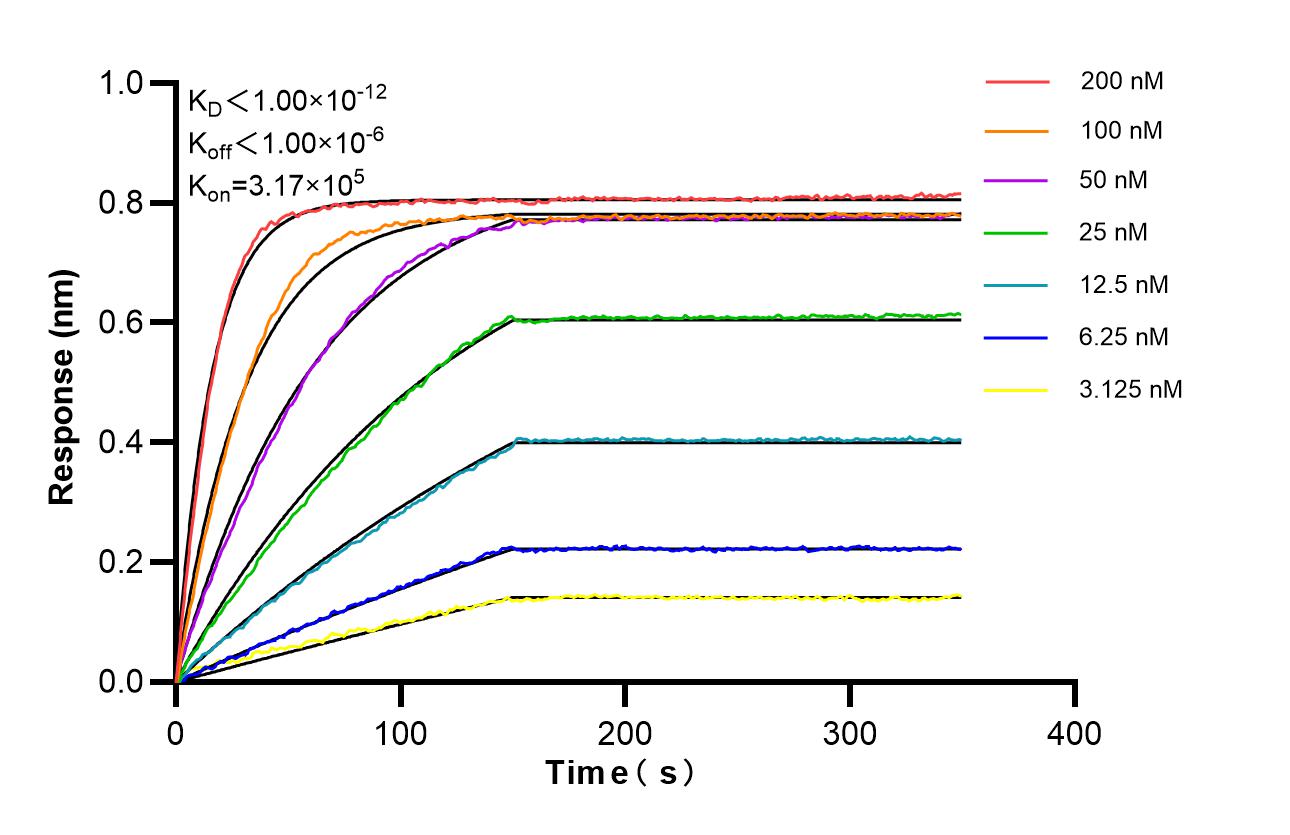 Affinity of 87596-1-RR