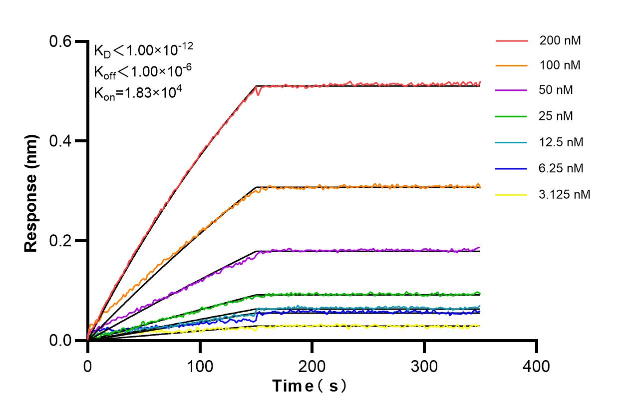 Affinity of 87597-1-RR