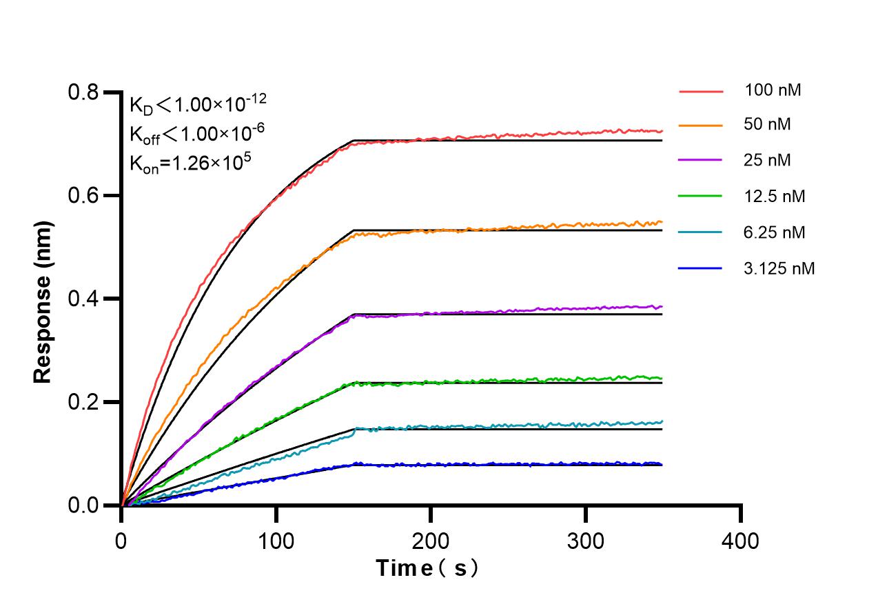 Affinity of 87599-1-RR