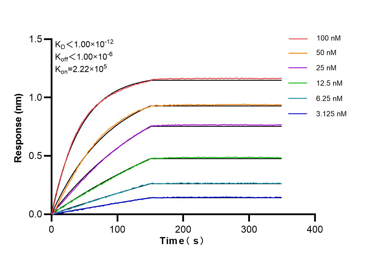 Affinity of 87621-1-RR