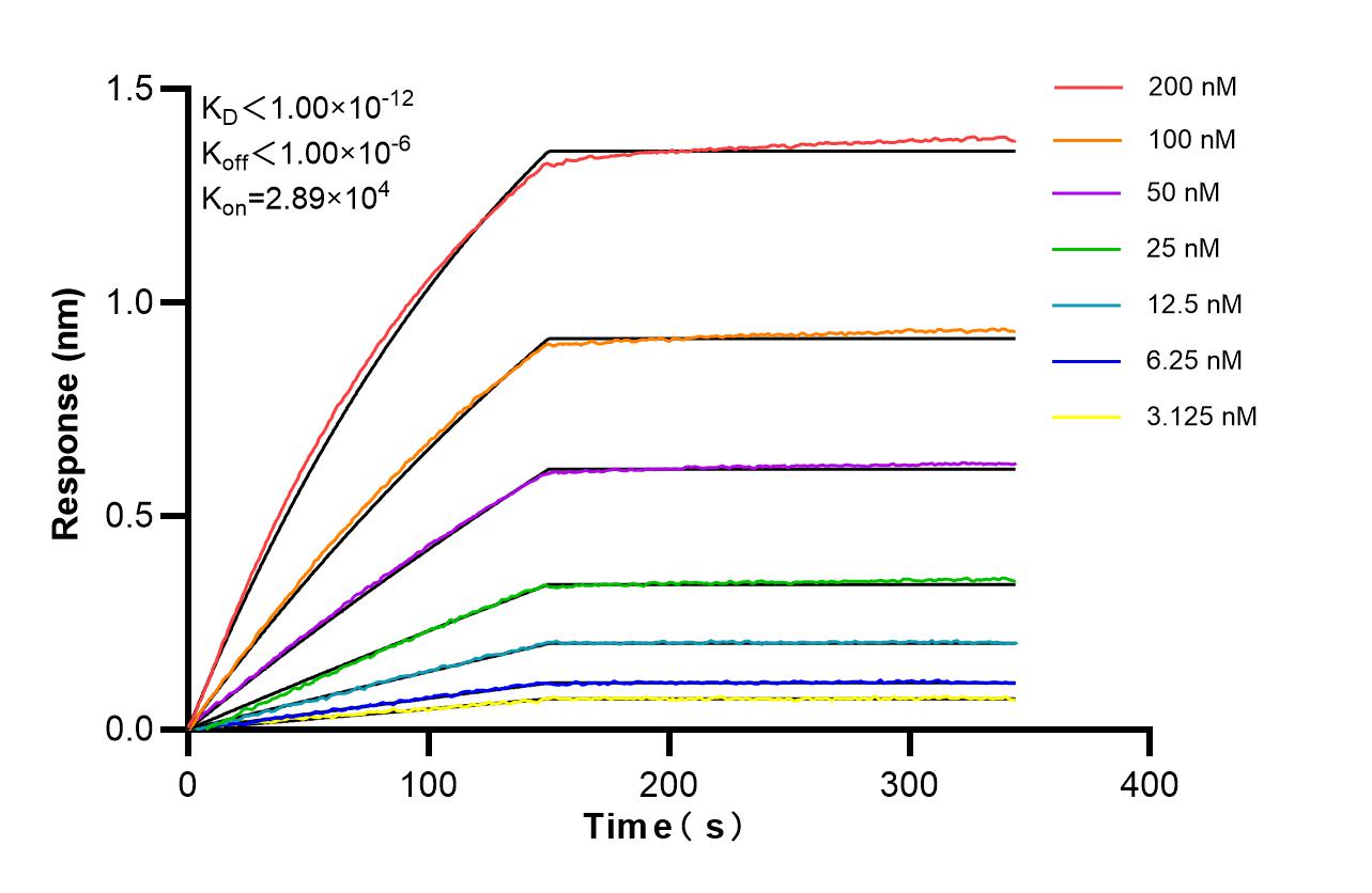 Affinity of 87630-2-RR