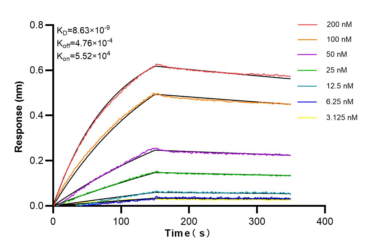Biolayer interferometry (BLl) kinetic assays of 87634-1-RR against Human TEKT2 were performed. The affinity constant is 8.63 nM. Affinity of 87634-1-RR