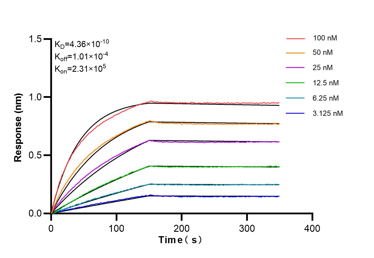 Affinity of 87659-1-RR