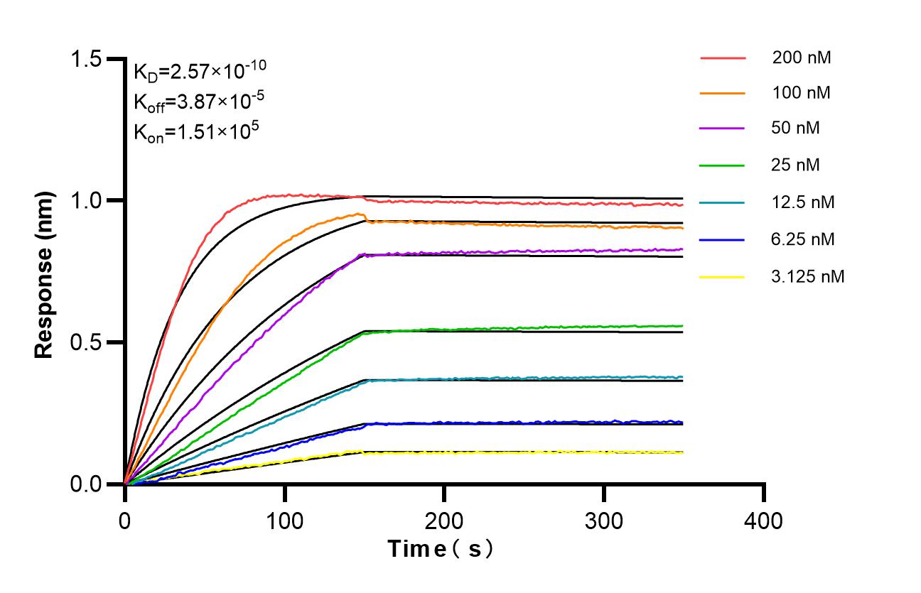 Affinity of 87674-7-RR