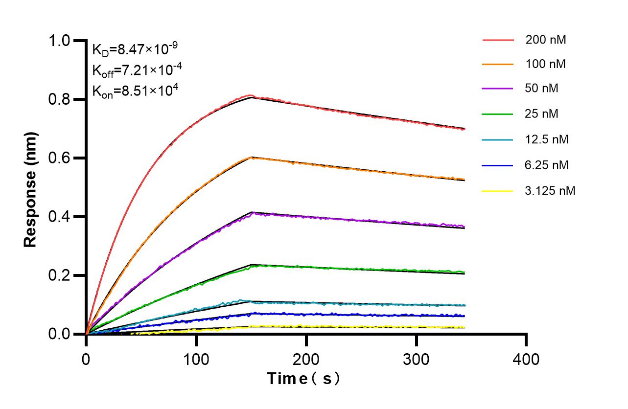 Affinity of 87678-3-RR Affinity of 87678-3-RR