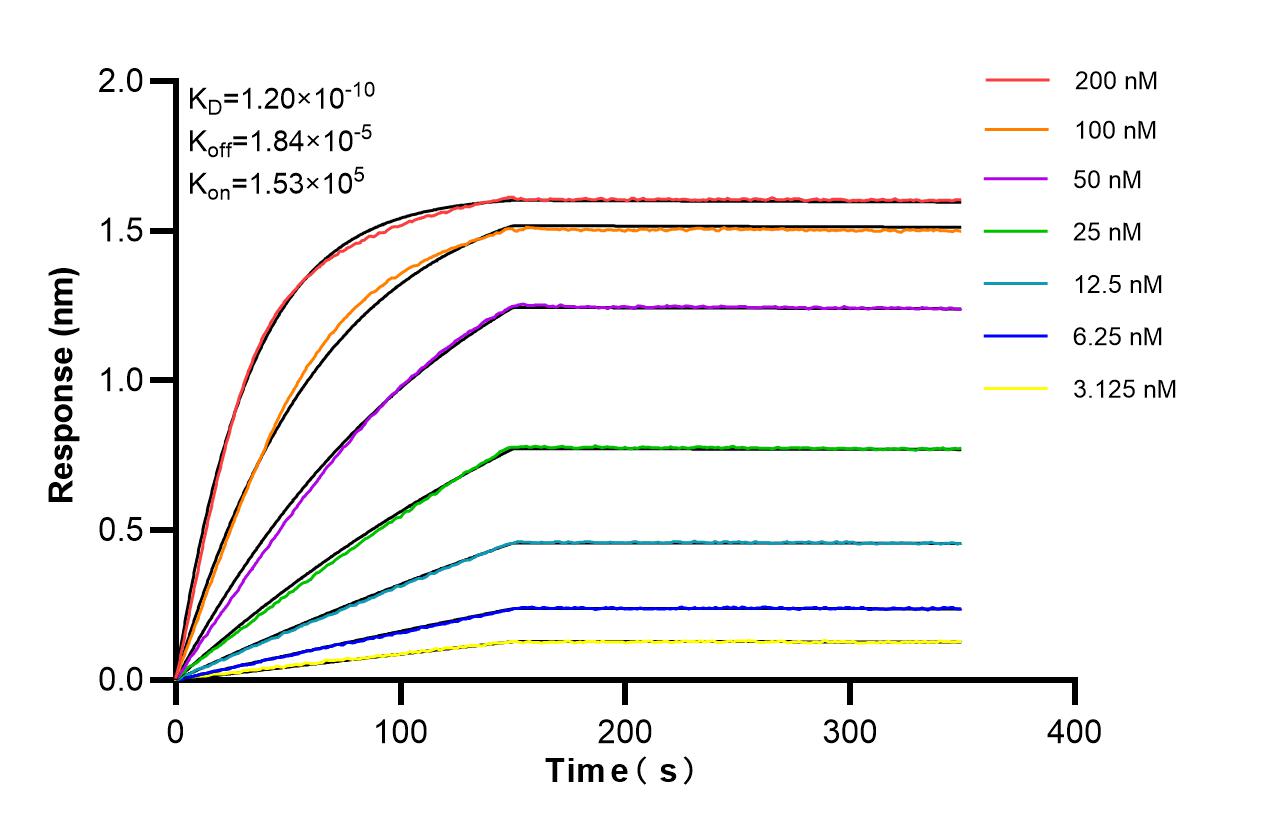 Affinity of 87694-1-RR