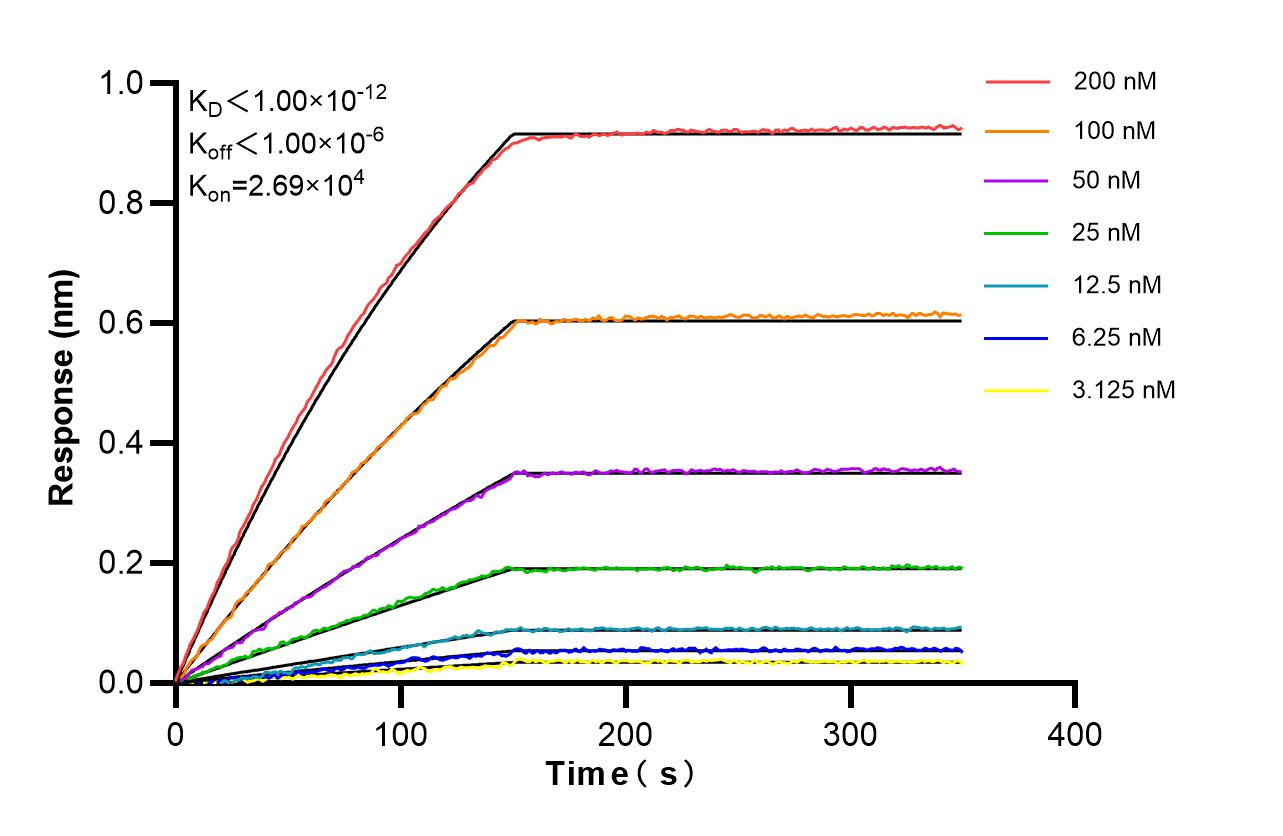 Affinity of 87705-1-RR