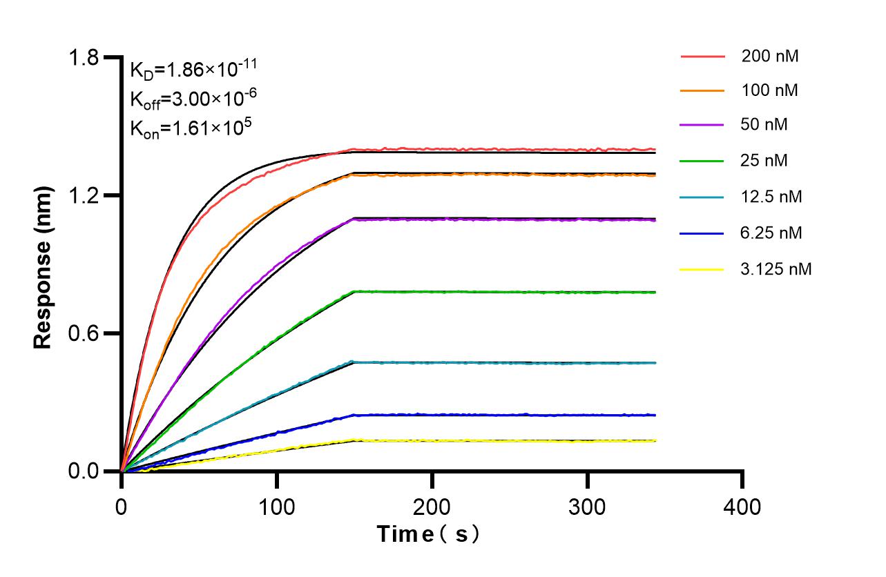 Affinity of 87724-1-RR