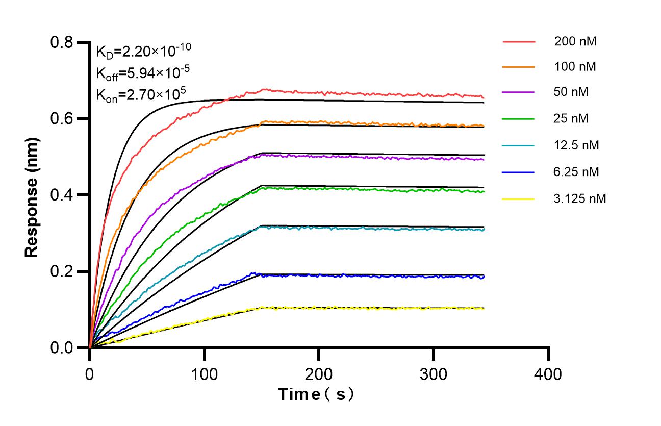 Affinity of 87737-1-RR Affinity of 87737-1-RR