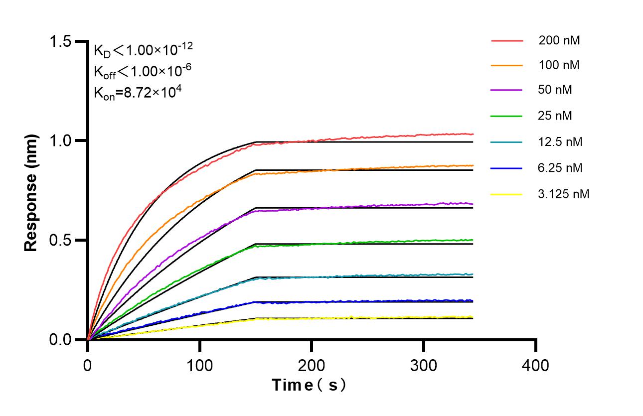 Affinity of 87759-3-RR