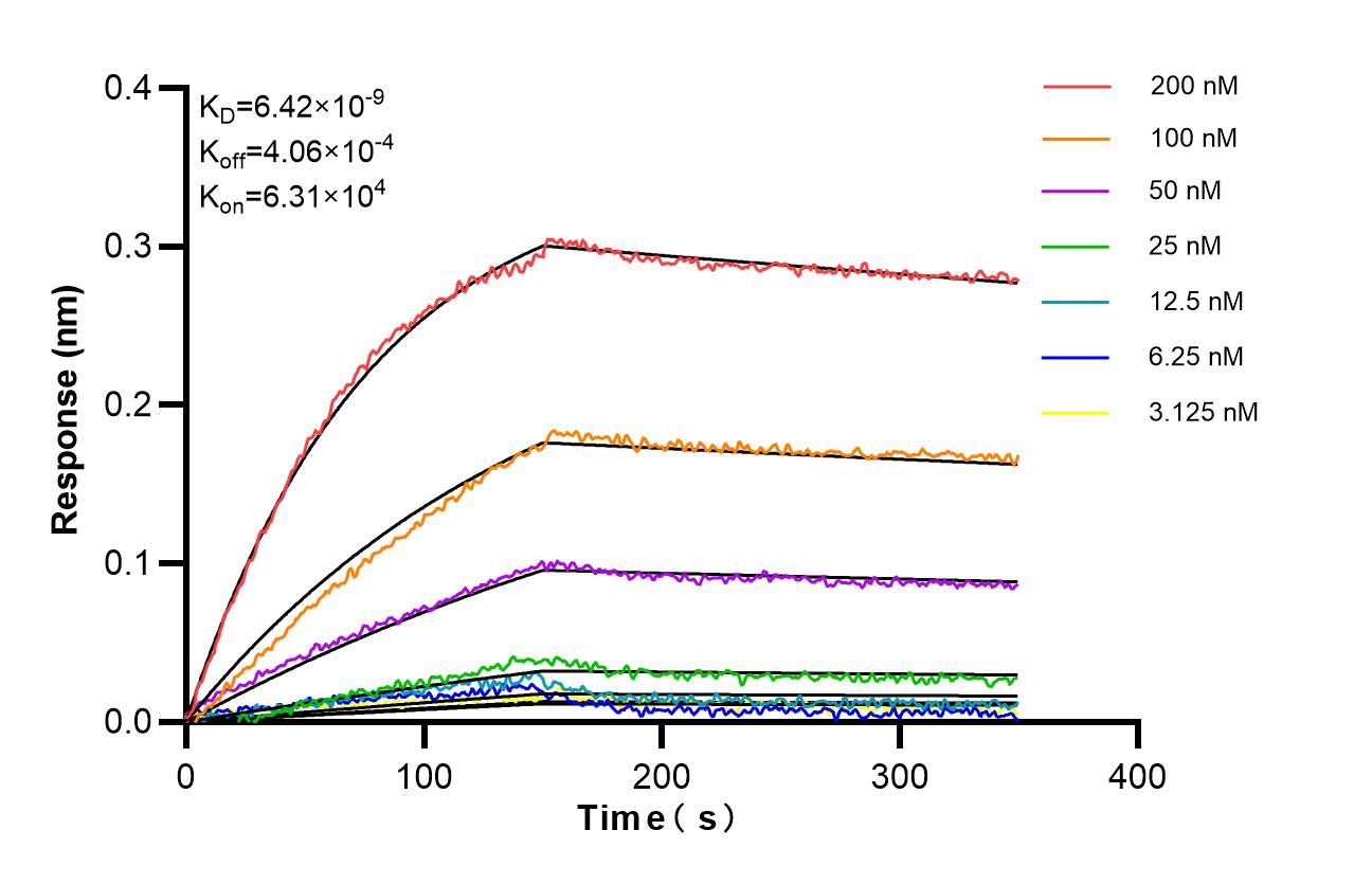 Affinity of 87789-1-RR