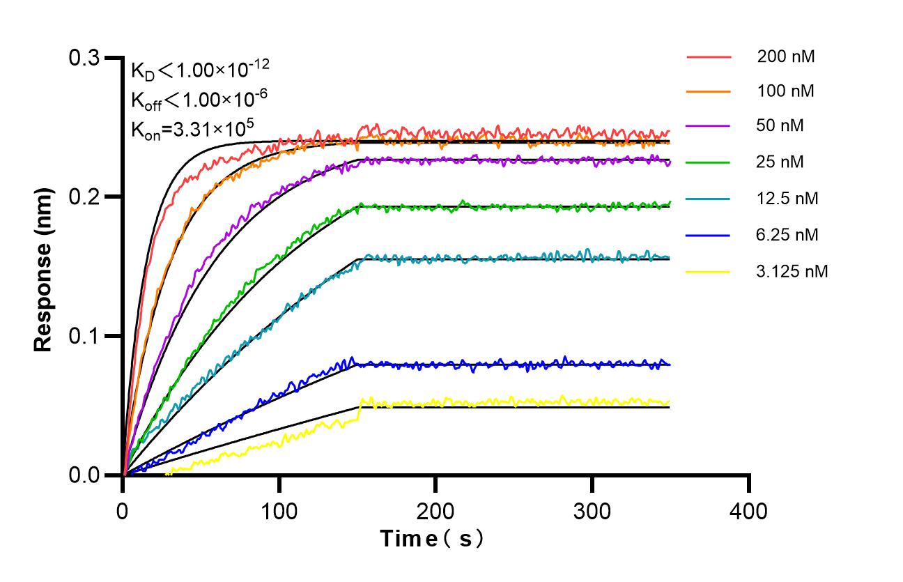 Affinity of 87817-1-RR