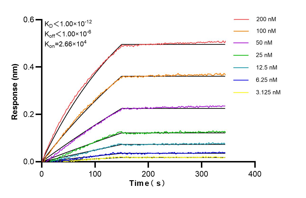 Affinity of 87821-1-RR Affinity of 87821-1-RR