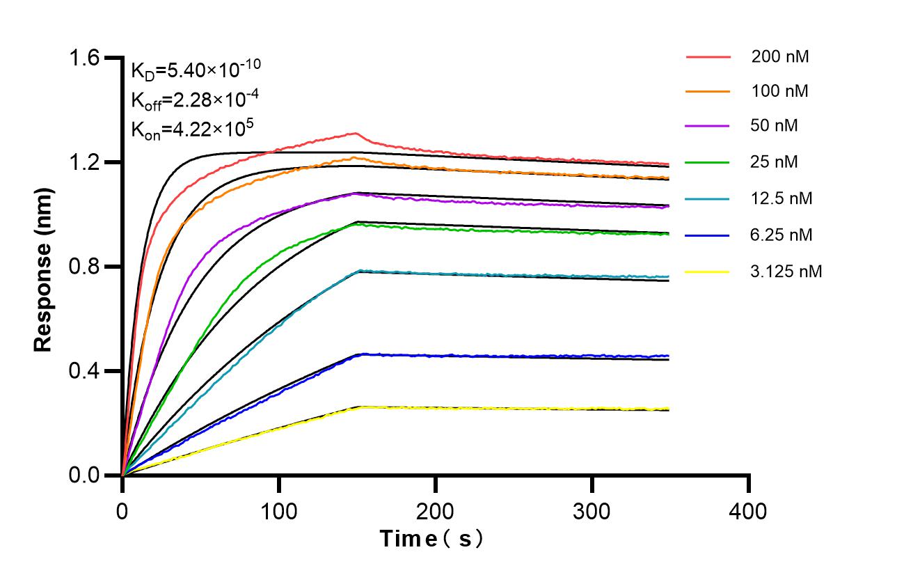 Affinity of 87827-1-RR