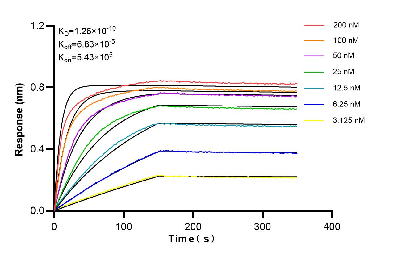 Affinity of 87831-1-RR