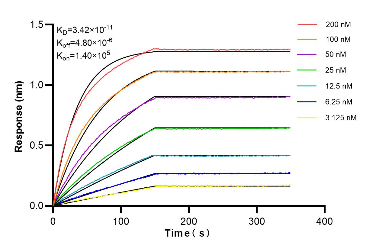Affinity of 87837-1-RR