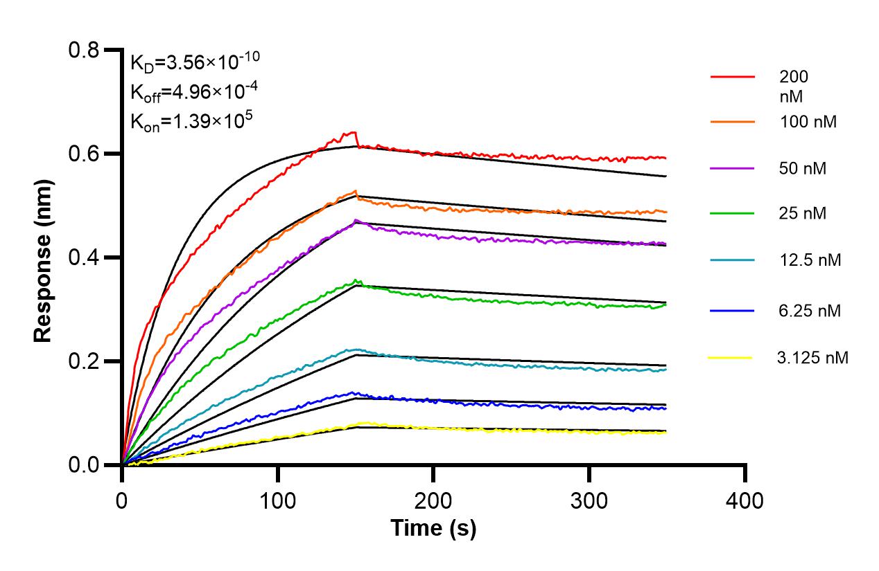 Affinity of 87859-2-RR