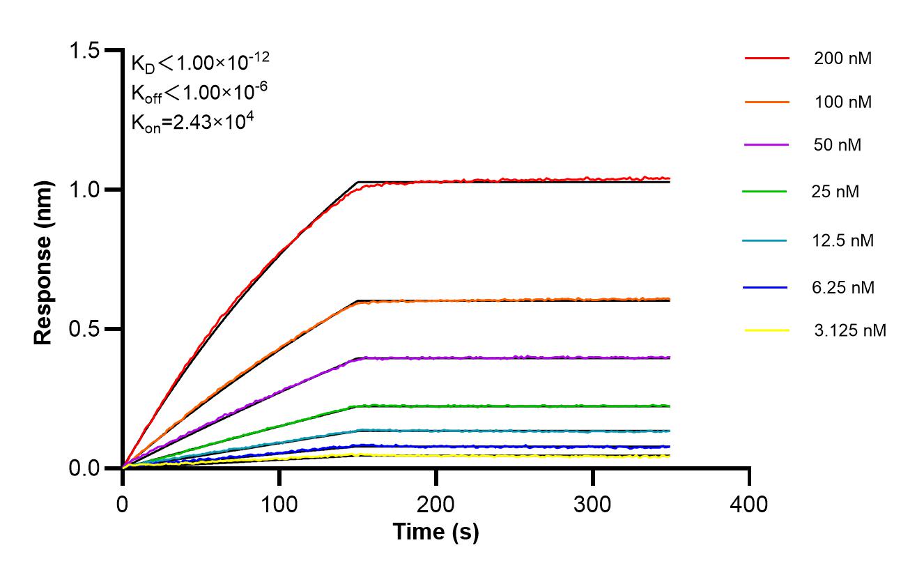 Affinity of 87860-2-RR Affinity of 87860-2-RR