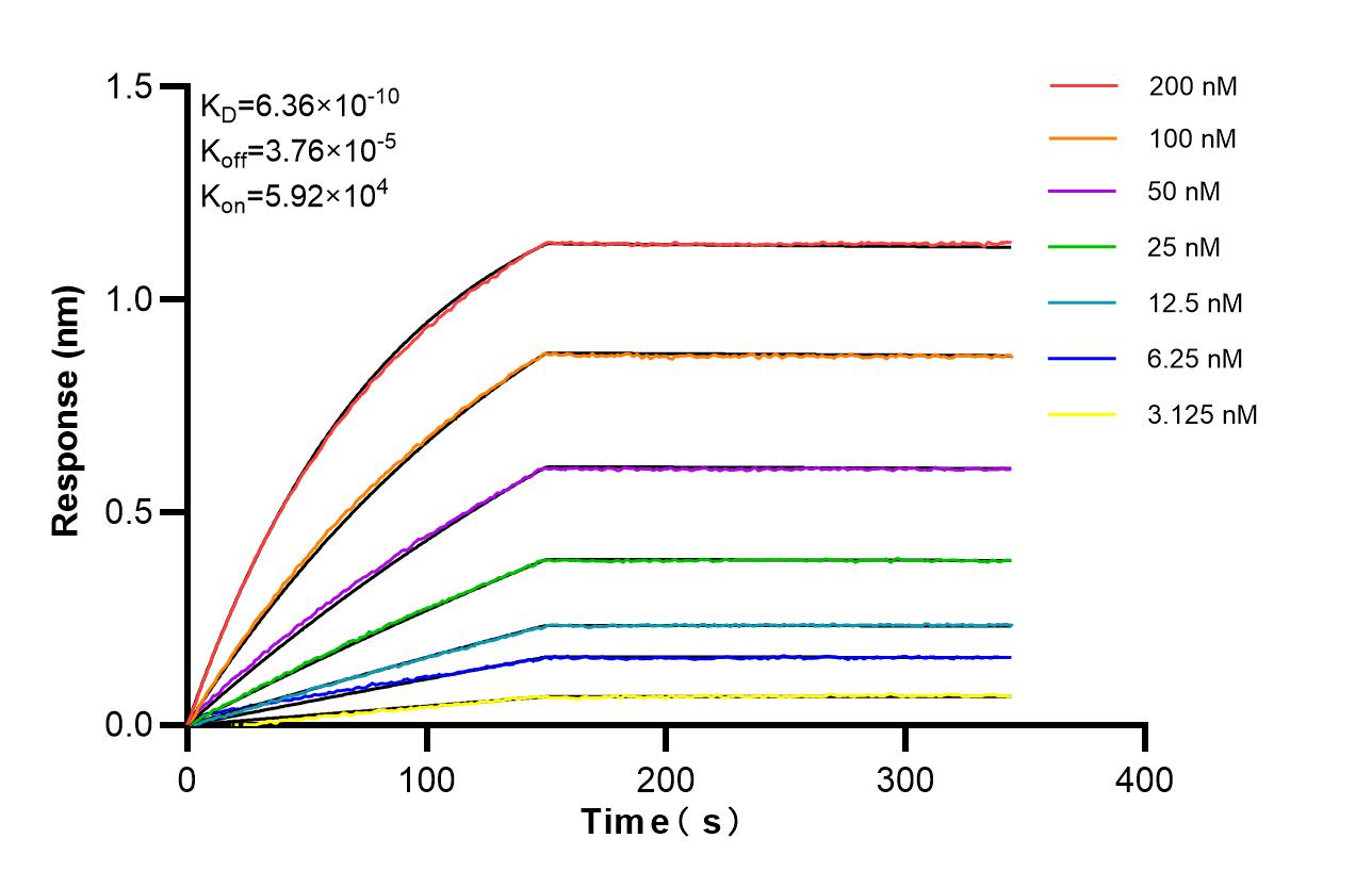 Affinity of 87878-3-RR Affinity of 87878-3-RR
