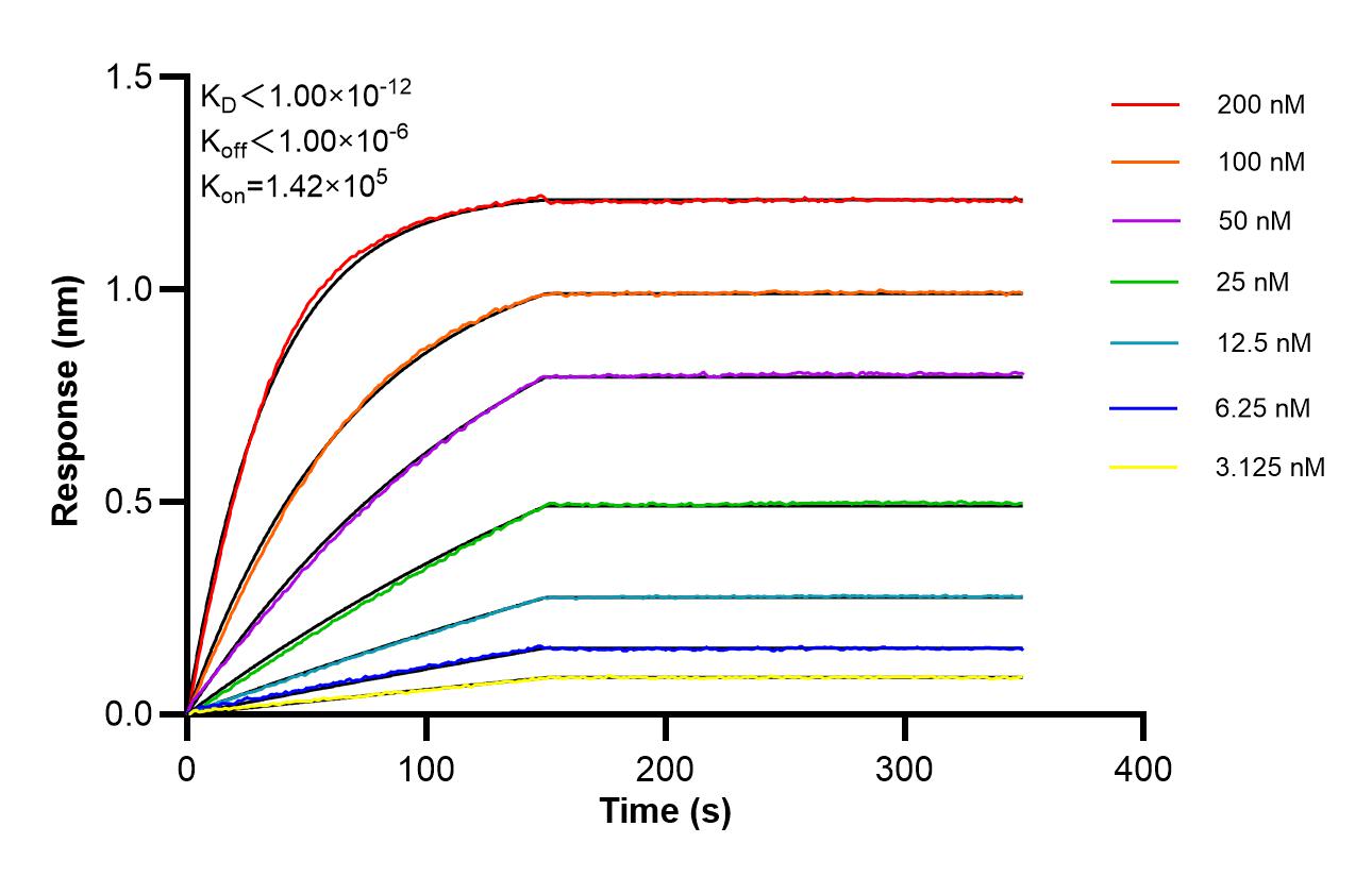 Affinity of 87880-1-RR