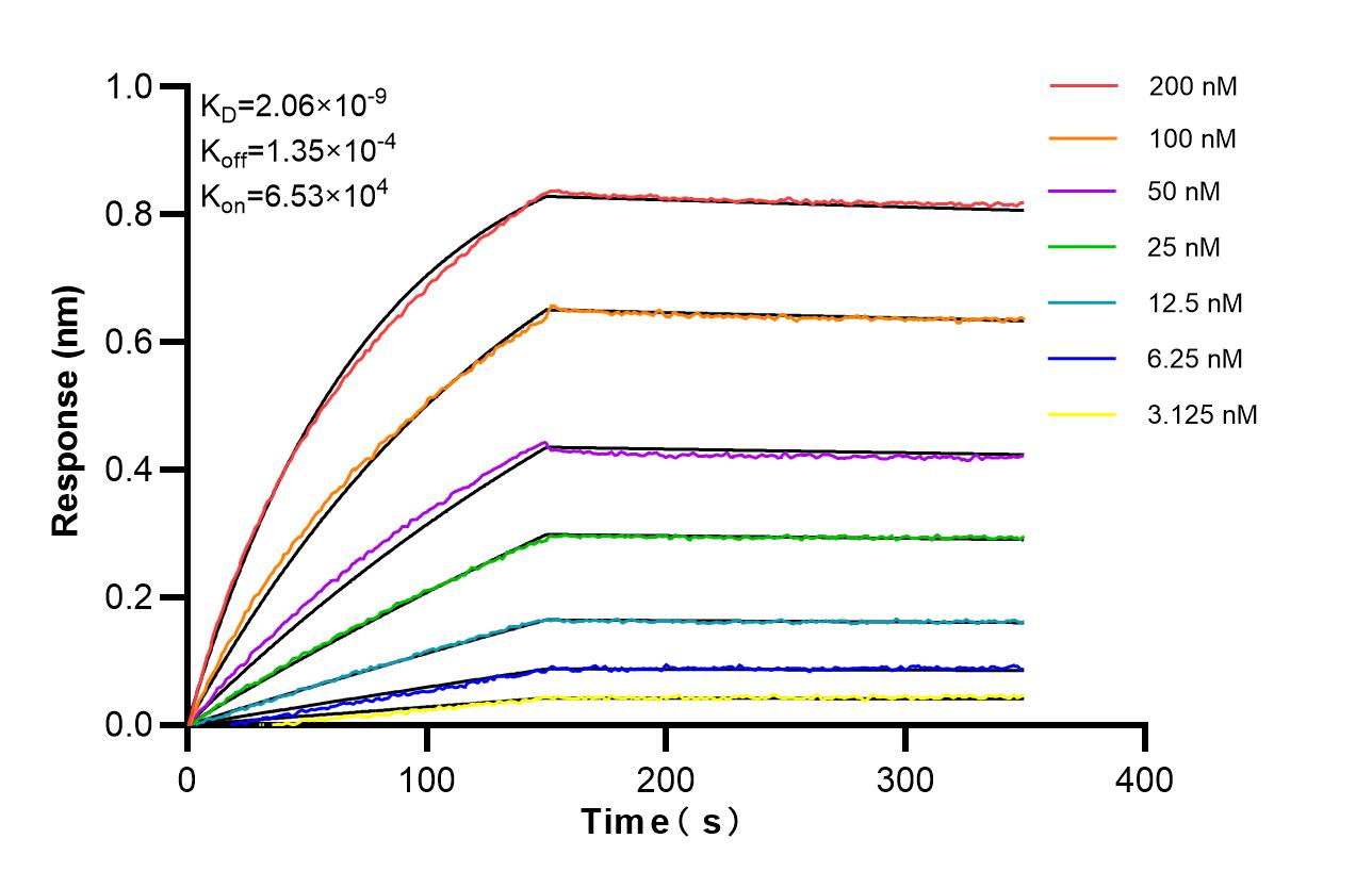 Affinity of 87882-1-RR