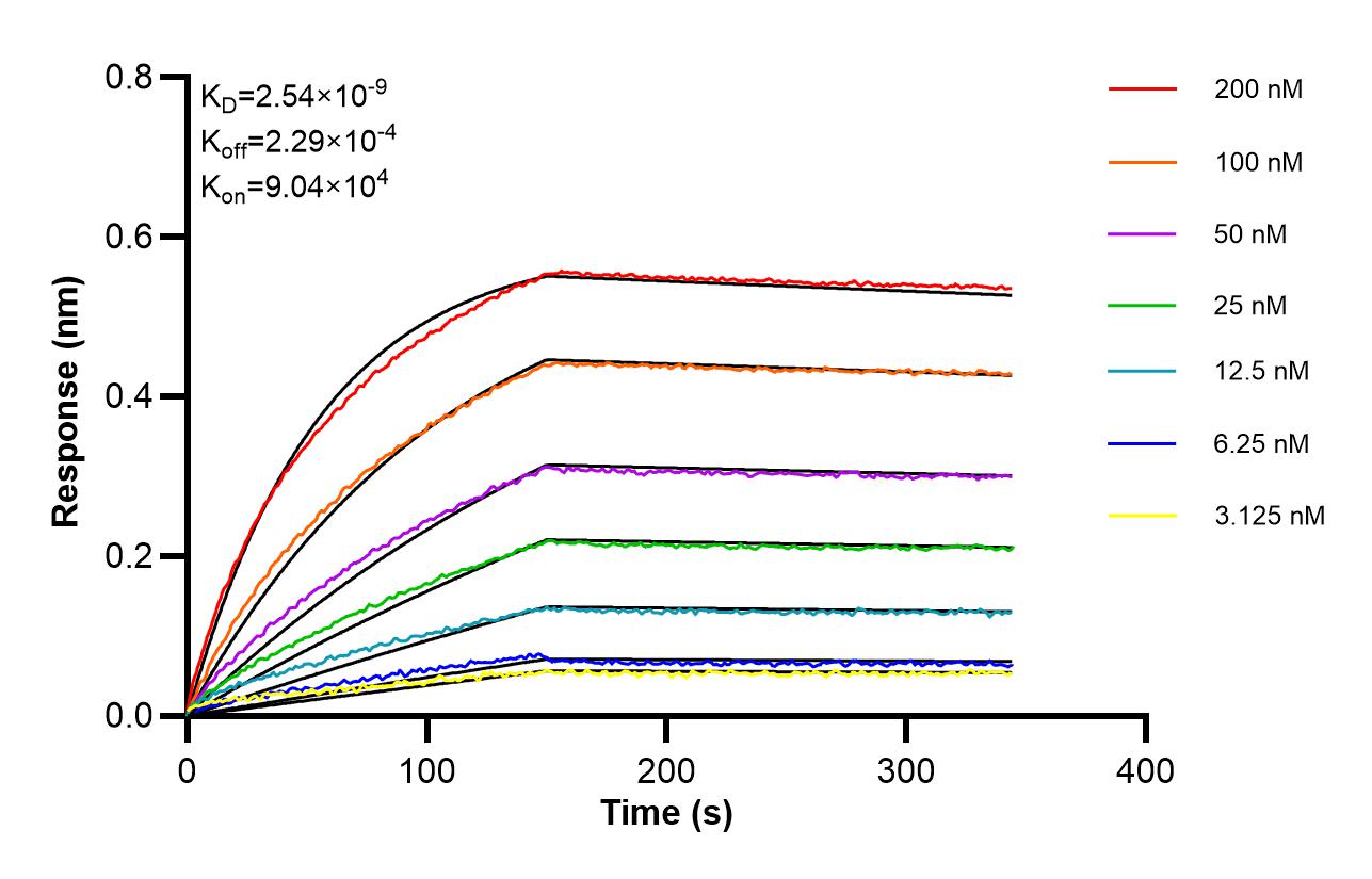 Affinity of 87903-2-RR