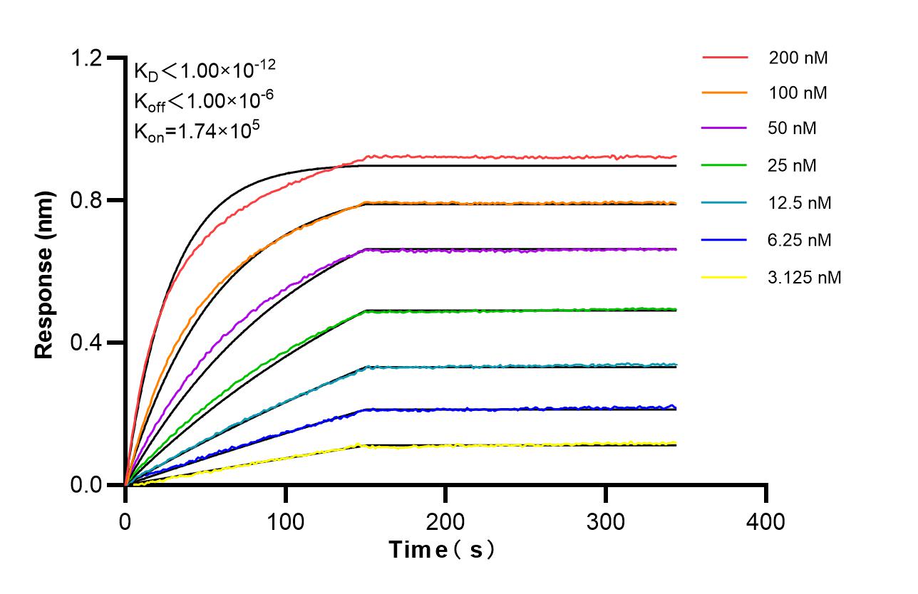 Affinity of 87904-1-RR