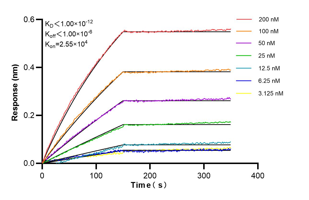 Affinity of 87943-1-RR