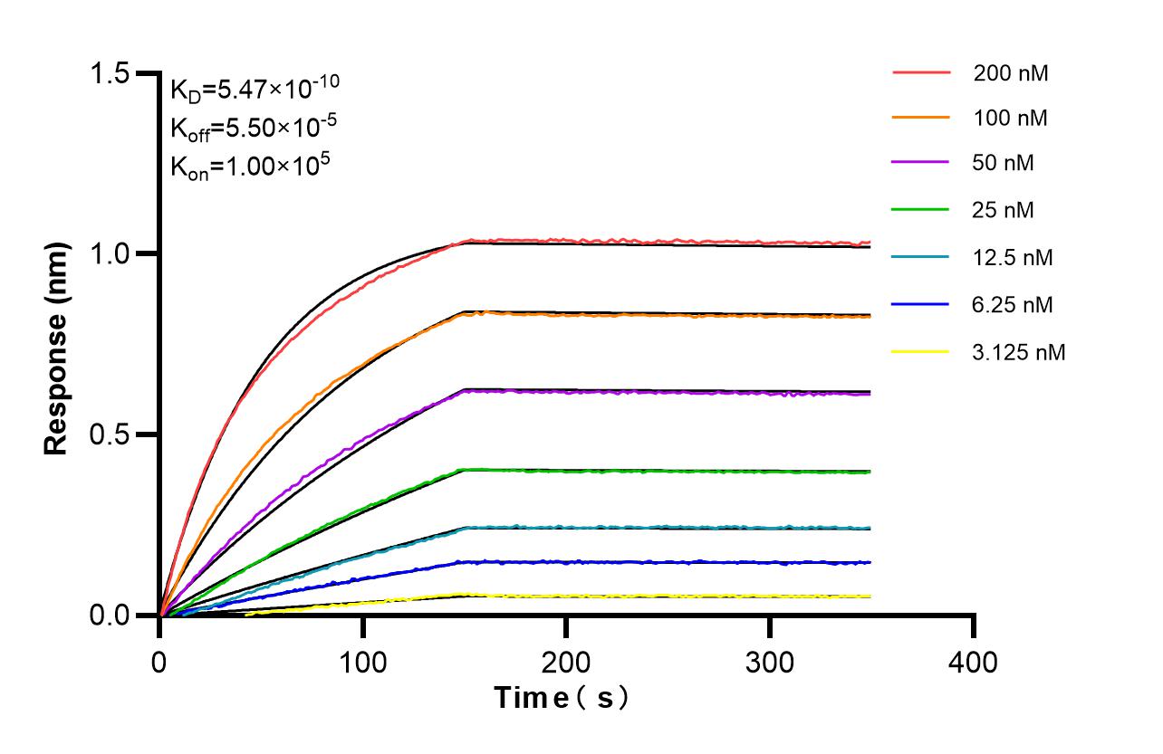 Affinity of 87952-1-RR