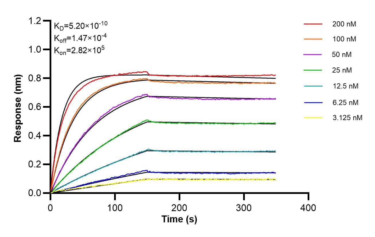 Affinity of 87958-1-RR Affinity of 87958-1-RR